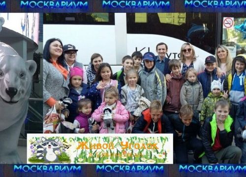 +79226041787 звонок из Благотворительный Фонд СДСиОУ