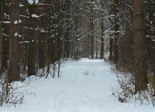 +79226842702 звонок из Дахт