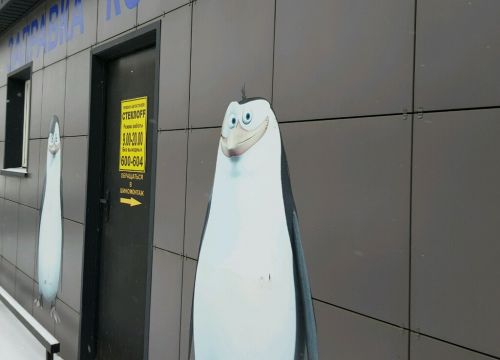 +79228860604 звонок из Стеклоff & Колесоff