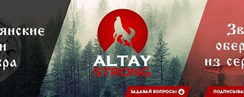 +79230087017 звонок из Алтайстронг