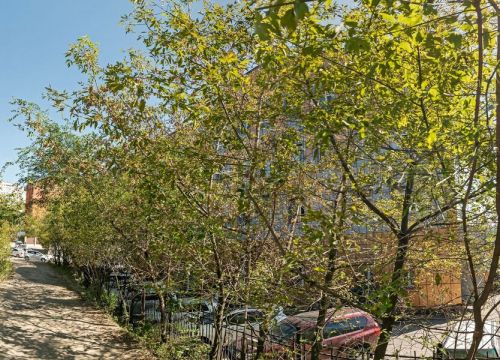 +79243333966 звонок из Барс