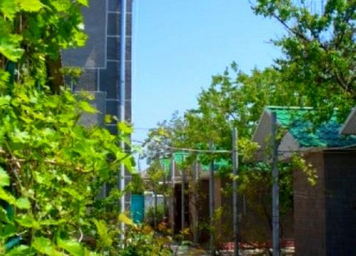 +79250400977 звонок из Лазурный Берег