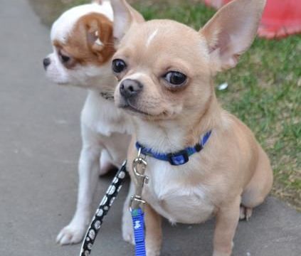 +79250521239 звонок из Маринэль Конади