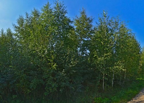 +79250570588 звонок из Металмастер