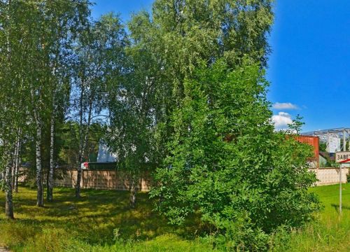 +79250900040 звонок из Mad-Cars