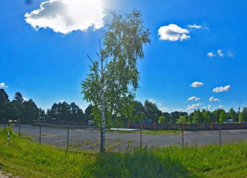 +79251011006 звонок из Шиномонтаж