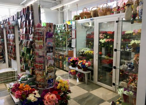 +79251750192 звонок из Дом сад огород