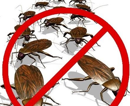 +79252020503 звонок из МДФ-Сервис