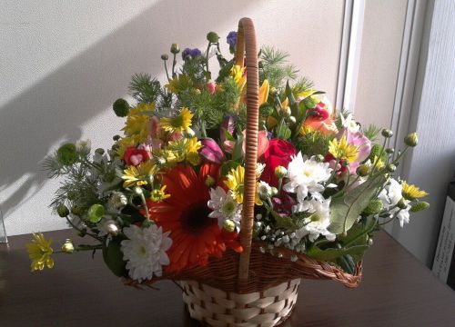 +79252791555 звонок из Антея