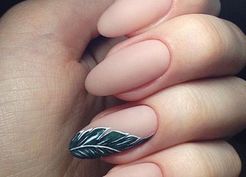 +79254070100 звонок из LKnail