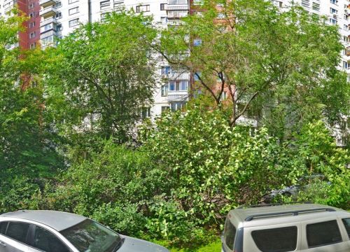 +79254240101 звонок из БалансОтчет