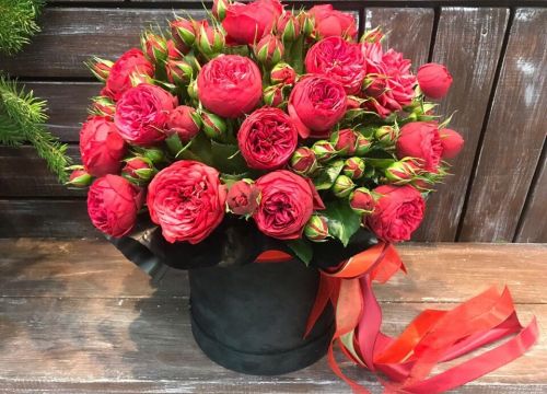 +79255060345 звонок из Цветик-7-цветик