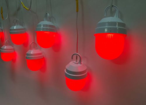 +79255492179 звонок из Центрознак