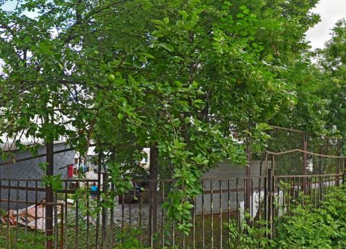 +79255752781 звонок из Enlandia