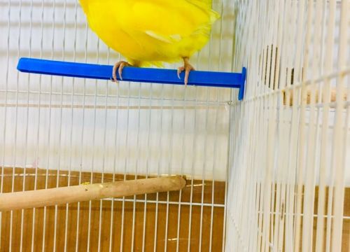 +79256571032 звонок из Зверье Мое