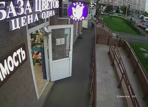 +79256601146 звонок из Цветы цена одна