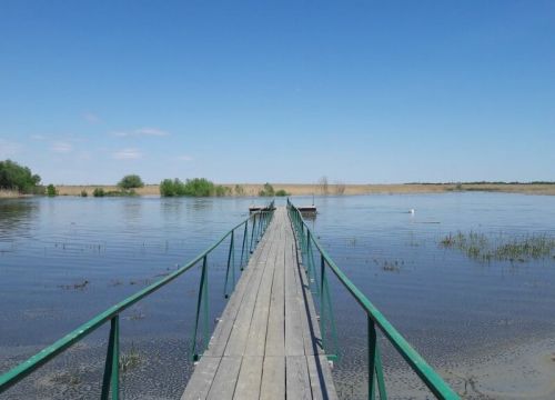 +79257720201 звонок из Grifon Fishing