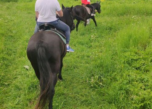 +79257770040 звонок из Парк Рождественно