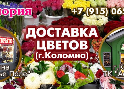 +79258880122 звонок из ЭйФлория