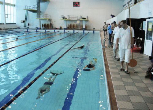 +79260200661 звонок из Фпср, Федерация подводного спорта России