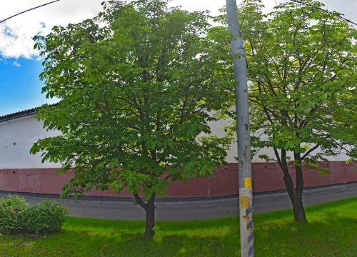 +79260691612 звонок из Стил Вуд