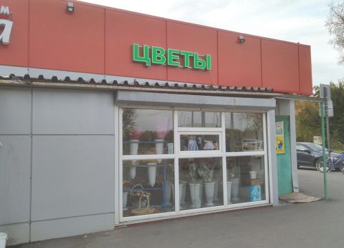 +79260840573 звонок из Цветы