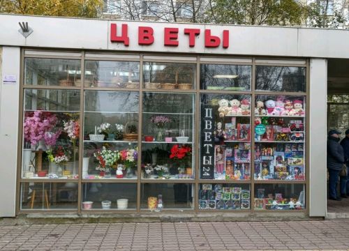 +79261010112 звонок из Цветы