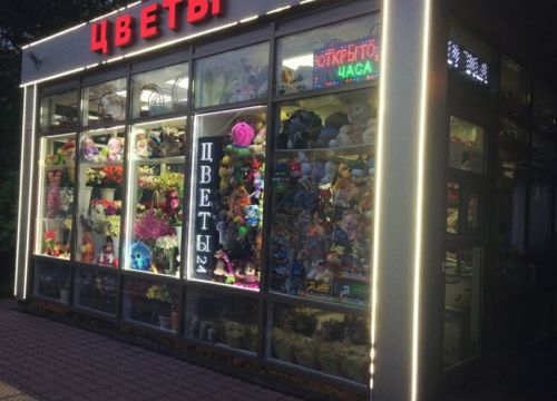 +79261010112 звонок из Цветы