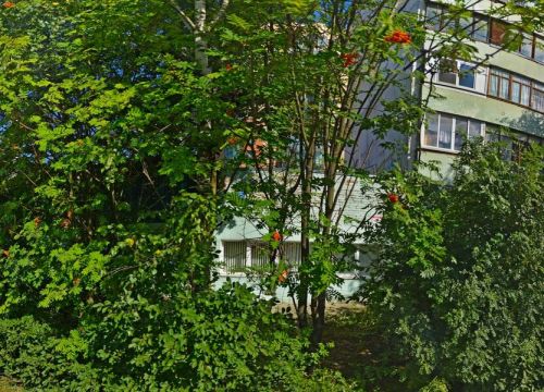 +79261010196 звонок из Военнно-патриотический поисковый клуб Китежъ