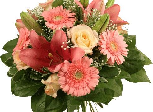 +79261400545 звонок из Алиса в стране цветов