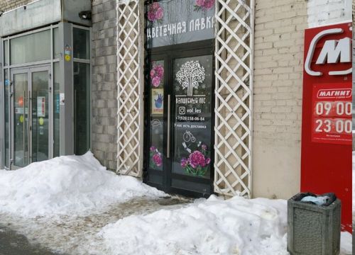 +79261580684 звонок из Волшебный лес