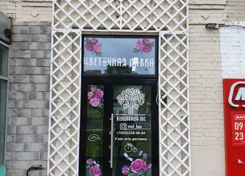 +79261580684 звонок из Волшебный лес