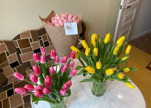 +79261580684 звонок из Волшебный лес