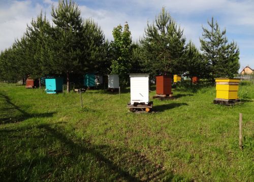 +79261660780 звонок из Никитский мёд