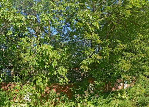 +79261700608 звонок из Одис-т