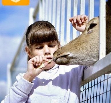 +79261760318 звонок из Горки