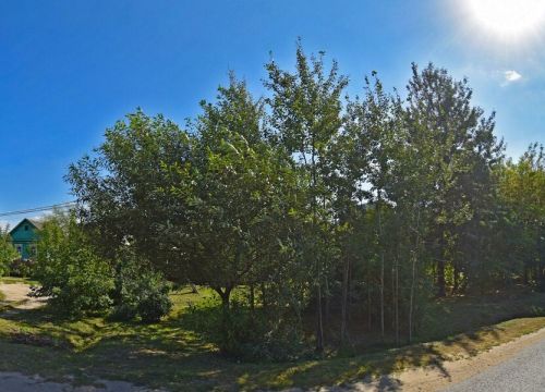 +79261790800 звонок из Производство тротуарной плитки