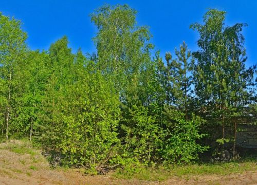 +79262351008 звонок из Вода питьевая Николаевская