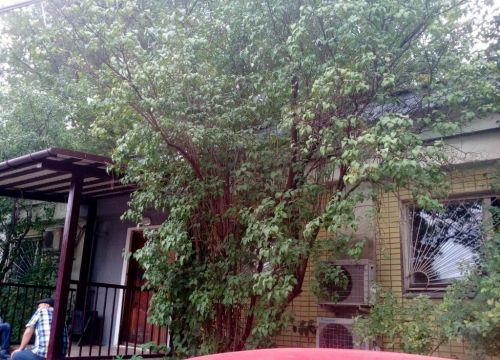 +79262440019 звонок из Кузьма Плюс