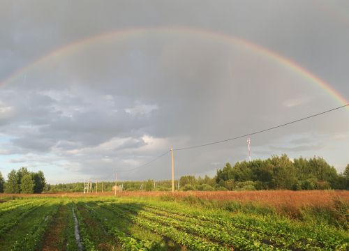 +79262650475 звонок из КФХ Наша ягода