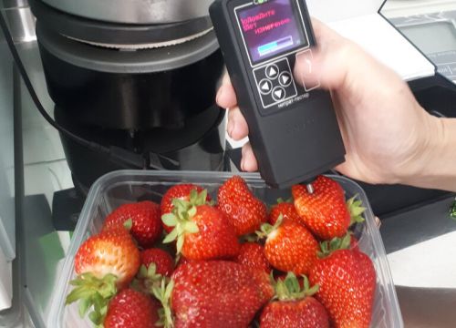 +79262650475 звонок из КФХ Наша ягода