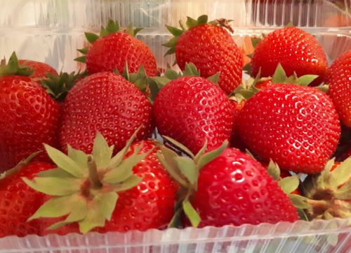 +79262650475 звонок из КФХ Наша ягода