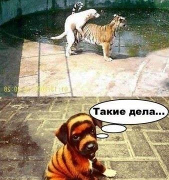 +79262670614 звонок из Магазин Горящих Путевок