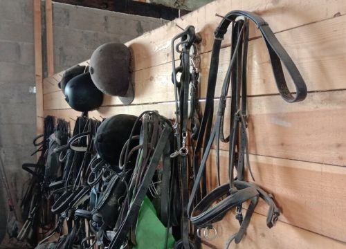 +79262820708 звонок из Гармония