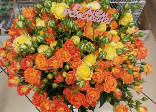 +79263550844 звонок из Цветы