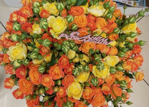 +79263550844 звонок из Цветы