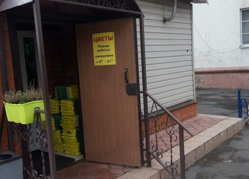 +79264180653 звонок из Цветы