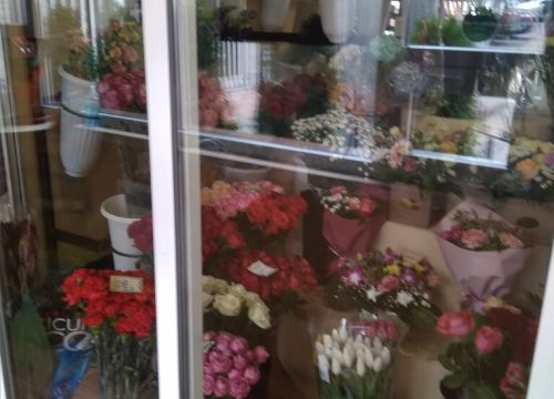 +79264180653 звонок из Цветы