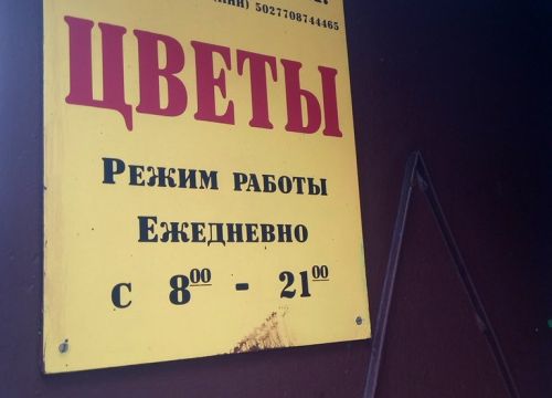 +79264180653 звонок из Цветы