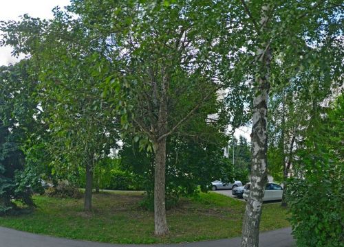 +79264240206 звонок из Живые раки